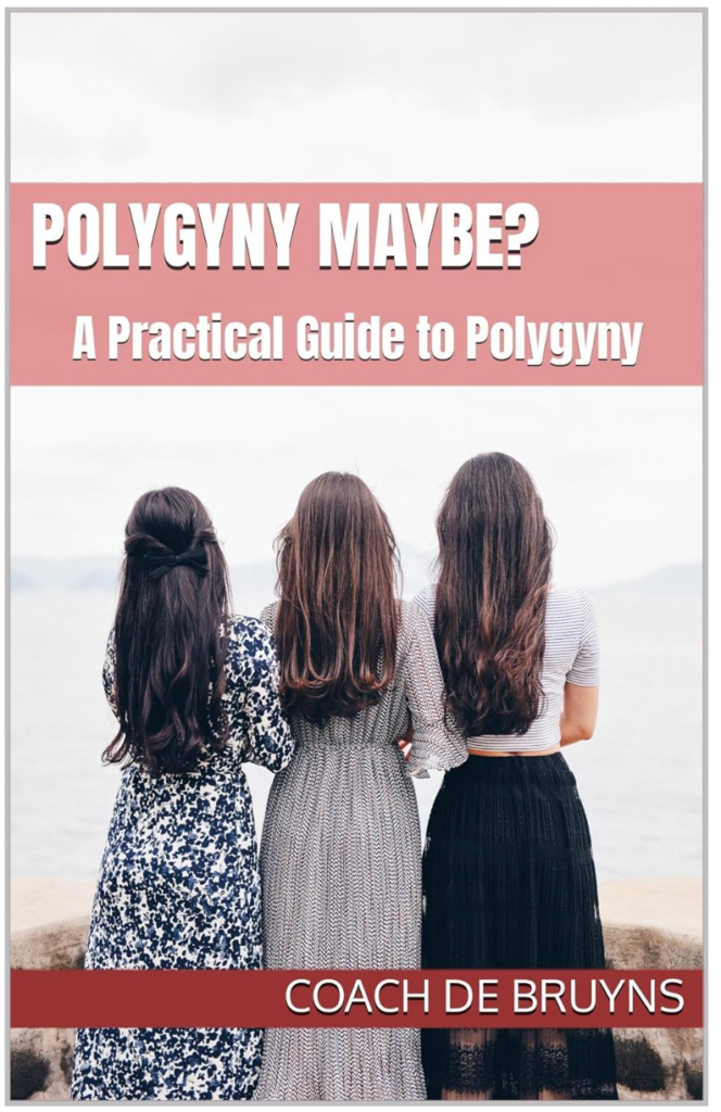 Polygyny Maybe? A Practical Guide Audio Book